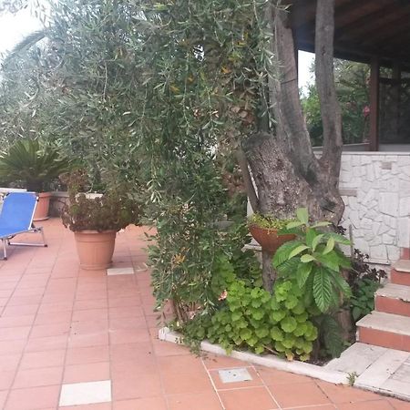 Villa Monica Appartamenti 비에스테 외부 사진