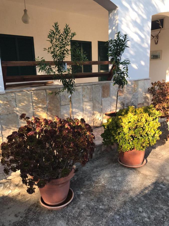 Villa Monica Appartamenti 비에스테 외부 사진