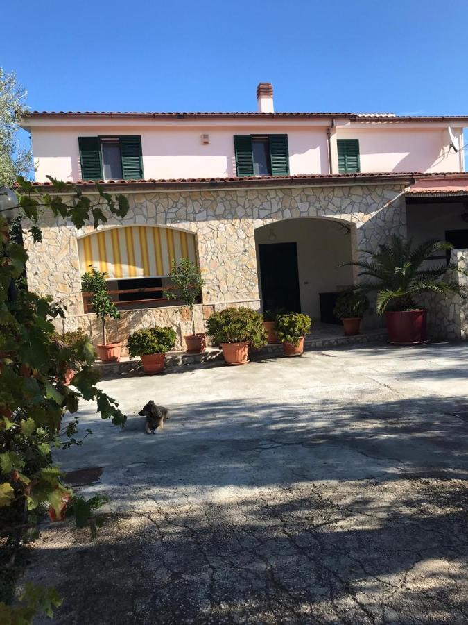 Villa Monica Appartamenti 비에스테 외부 사진